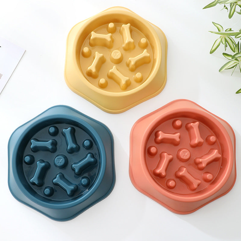 Slow Eating Feeding Station for Dogs Skanto