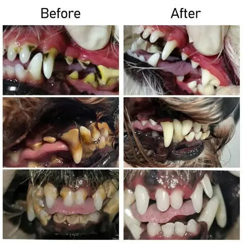 Oral gjenoppbyggende gel for kjæledyr
