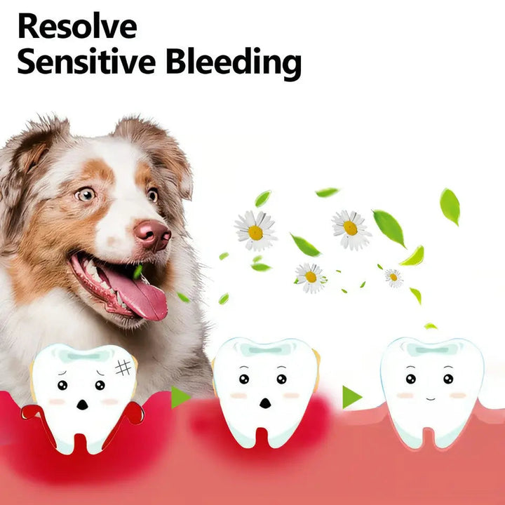 Oral gjenoppbyggende gel for kjæledyr