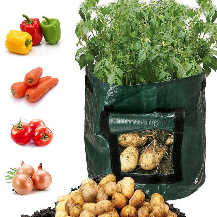 Skanto | Plantebag for poteter – Gjenbrukbar og med vindu for inspeksjon