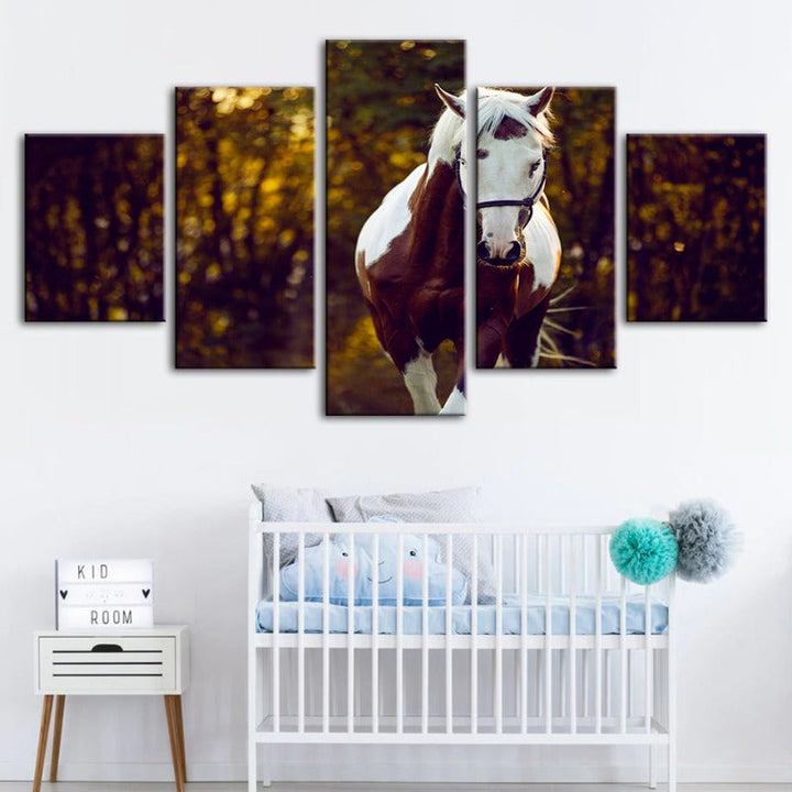 5-delt Courtly Overo hest - lerret veggkunst maleri | Skanto