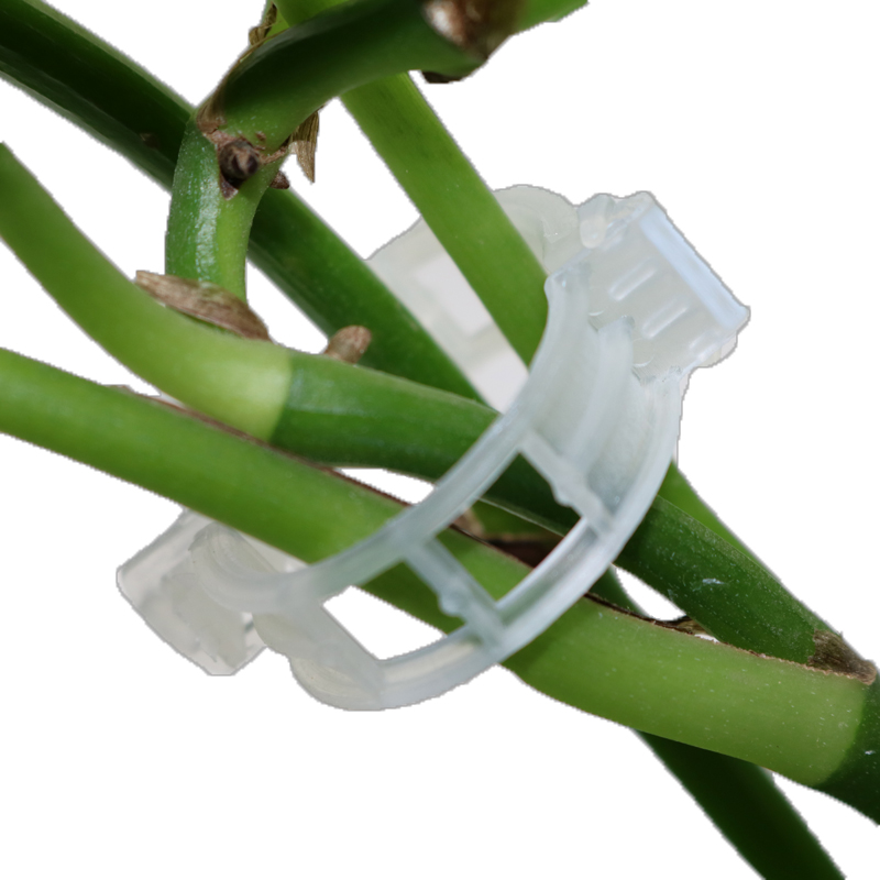 Skanto | Plante støtteklips for klatreplanter – Fleksibel holder for plante stengler