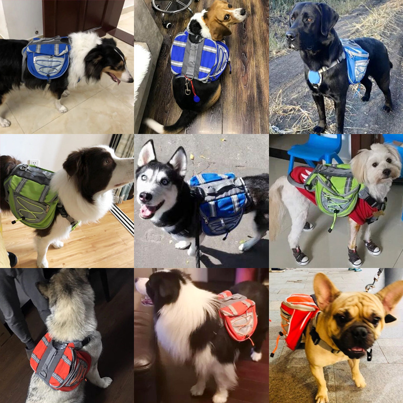 Pet Ryggsekk Bærer Skanto