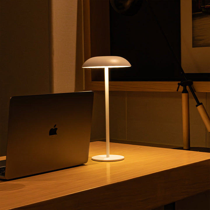 Skanto | Iron Elegance Lampe