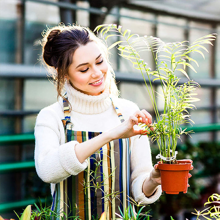 Plastikkinn for å holde planter | Skanto