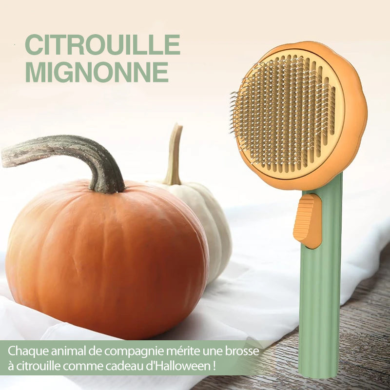 Pumpkin Comb Brush for Pets | Skanto