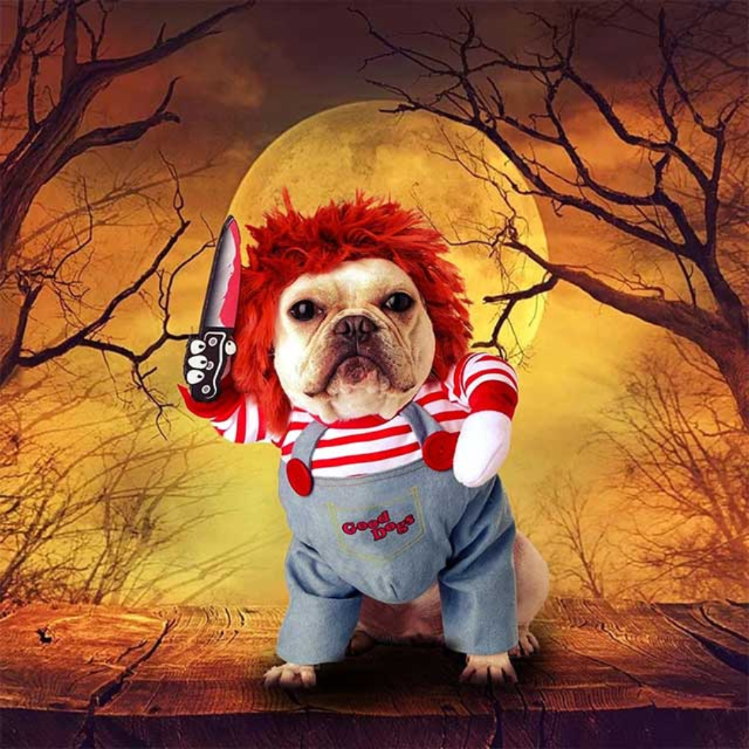 Chucky Kjæledyr Halloween Kostyme – Forsterk Kjæledyrets Lekne Personlighet Skanto