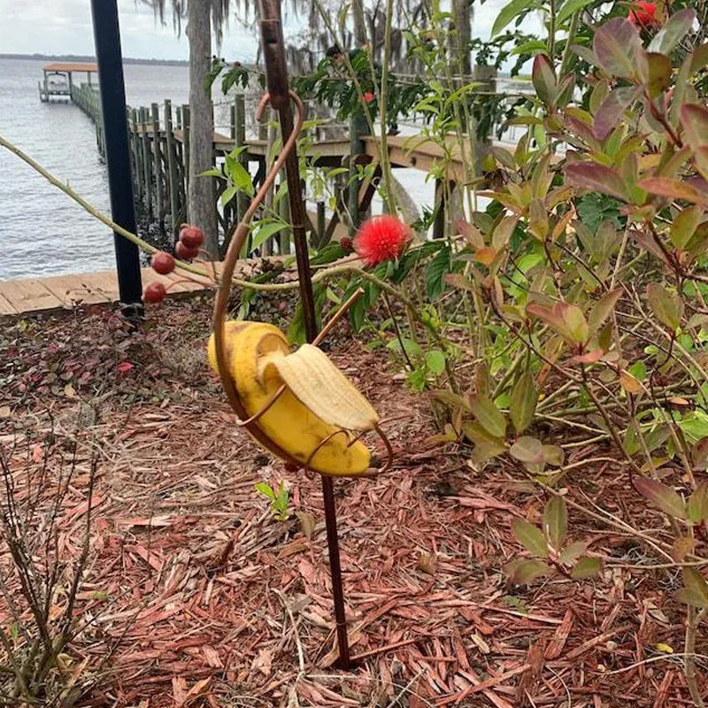 Skanto | Butterfly Banana Hammock-Butterfly Feeding