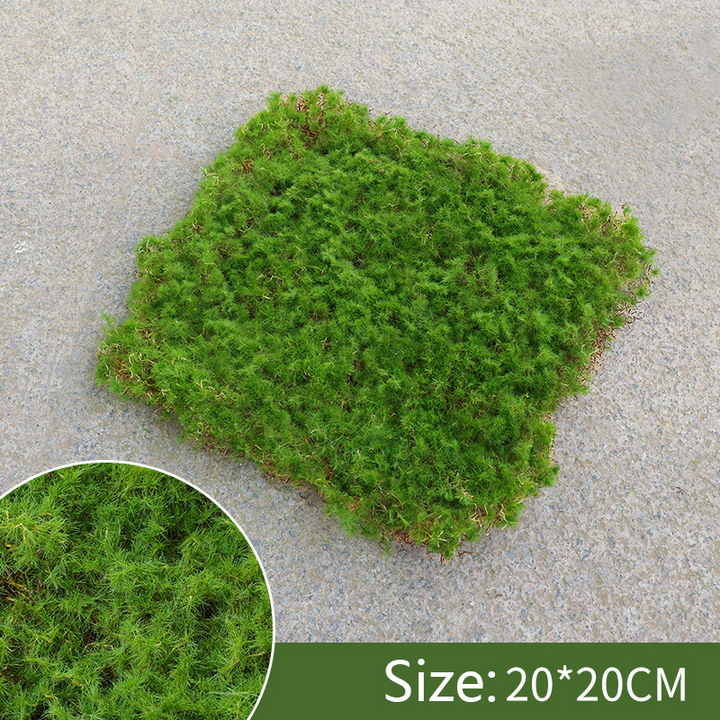 Skanto | Moss Dekorasjonselement – Moss Flak Ornament for Dekorasjon og Landskapspleie