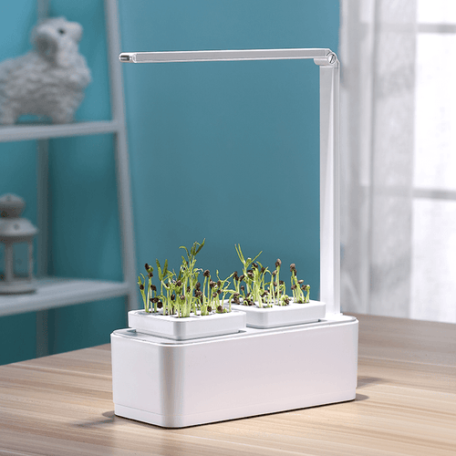 Skanto | Hydroponic systems with LED plant growth light, smart watering, water dry reminder and timer switch (with US standard plug, 110v~220v)