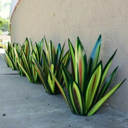 Anti-Rust Metall Tequila Agave Plante | Skanto