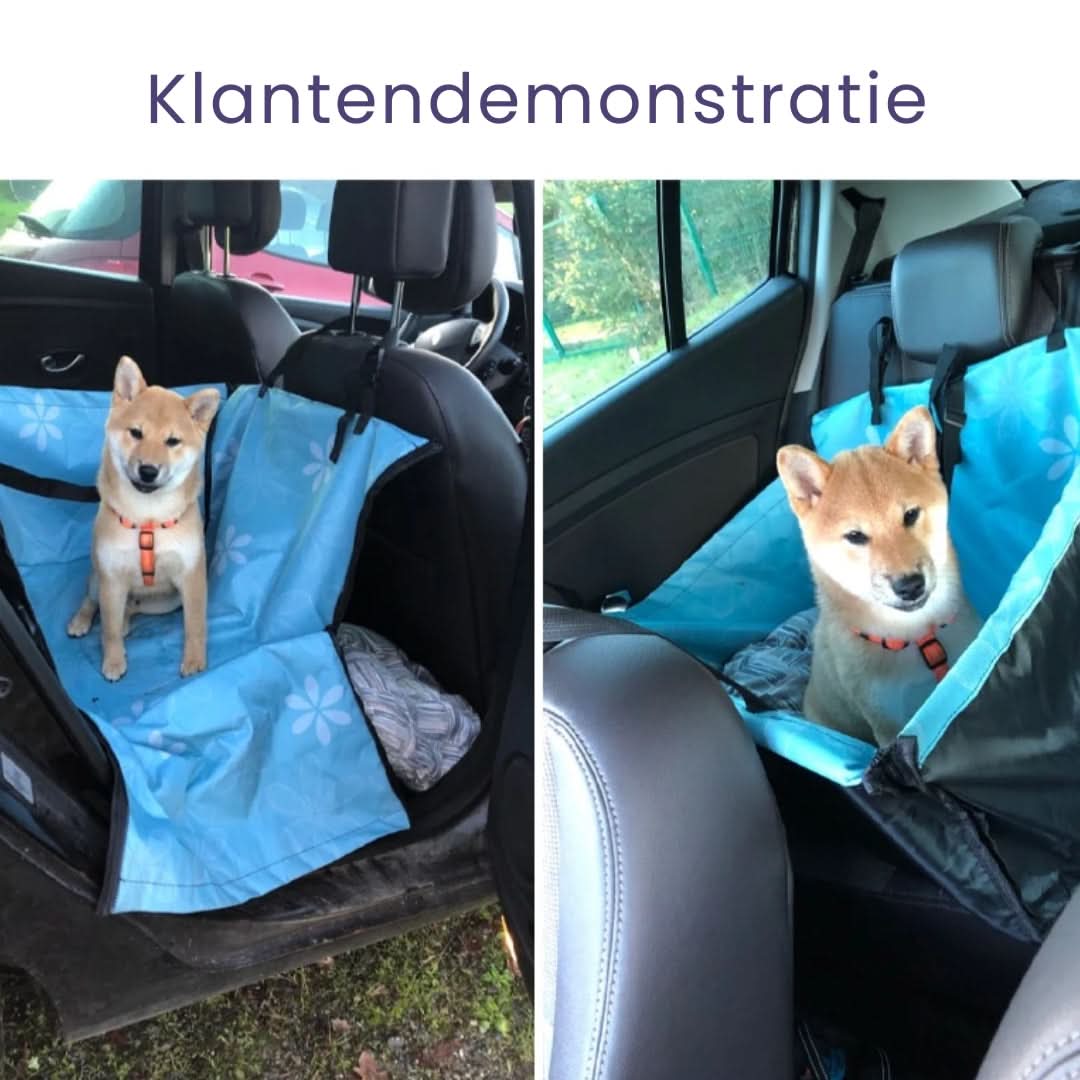 Skanto | PORTAPET