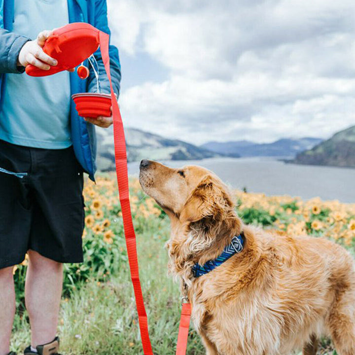 Skanto | 4 i 1 Hundekortlåser