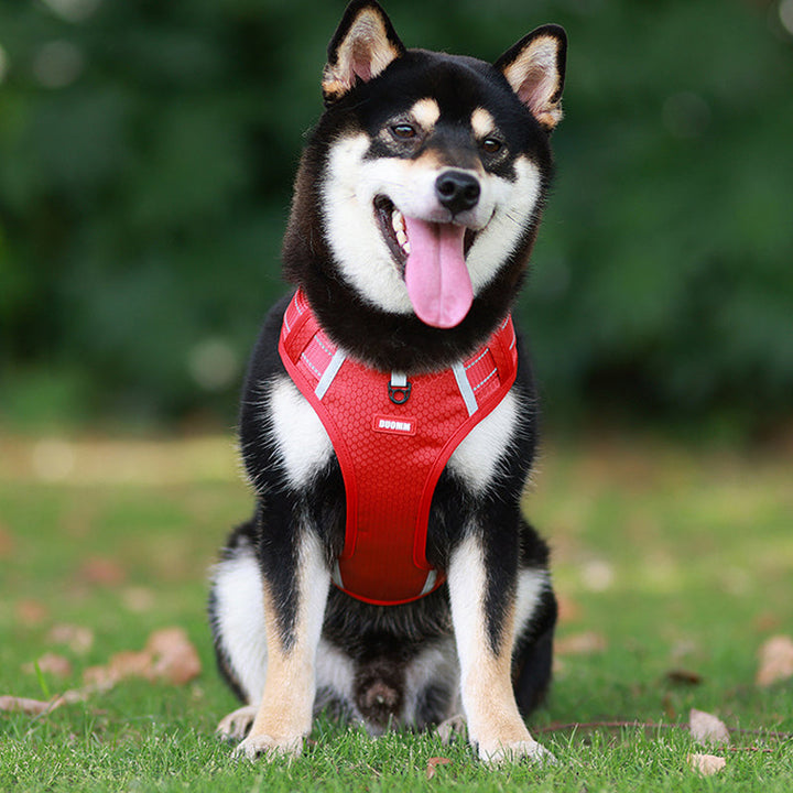 Skanto | Reflekterende Hundesele