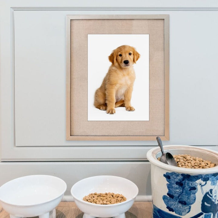 Moderne hundeposter og -trykk – lerretbilder