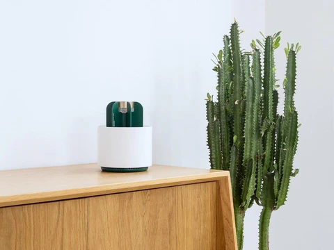 Skanto | Mygg Kaktus Lampe