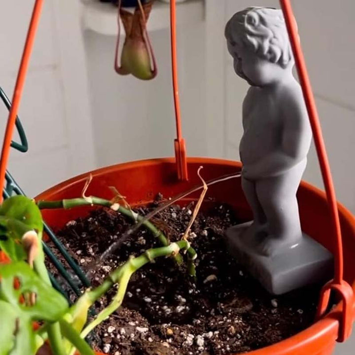 Skanto | Pee My Plants Hage Skulptur