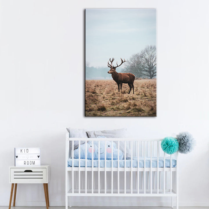 Majestetisk hjort i sletten - lerretbilde