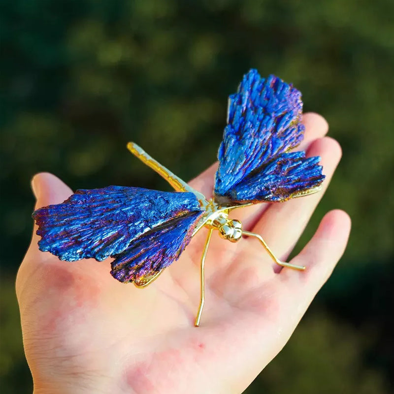 AURA TOURMALINE KYANITE DRAGEFLY | Skanto