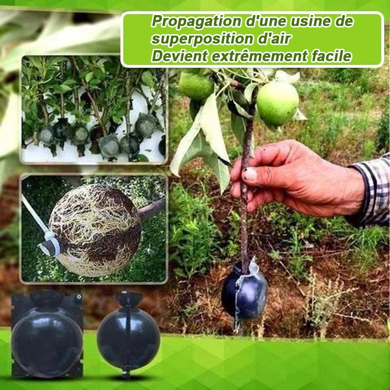 Air Layer Plant Propagation Capsule | Skanto