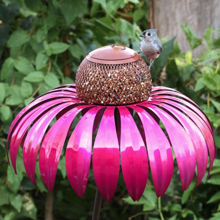 Bird Feeding Station D'éChinacéE | Skanto
