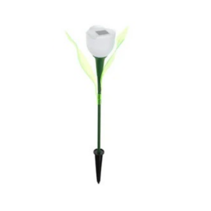 Skanto | Tulip lys som naturlig opplyser kvelder!