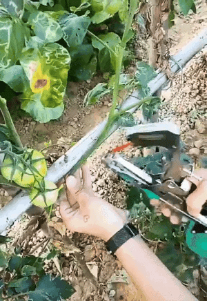 Plantebinder for hagearbeid | Skanto
