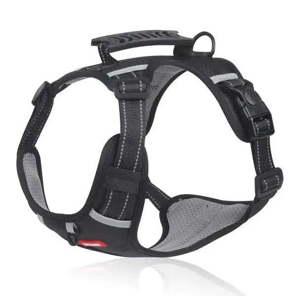 Skanto | anti-drag hundesele for smertefrie turer