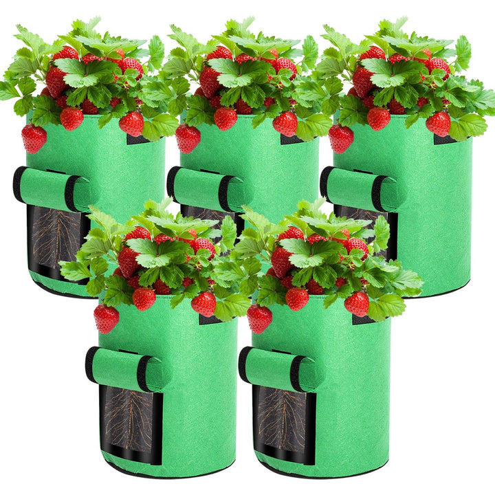 Plantepose plantepose plantepose 5 stk | Skanto