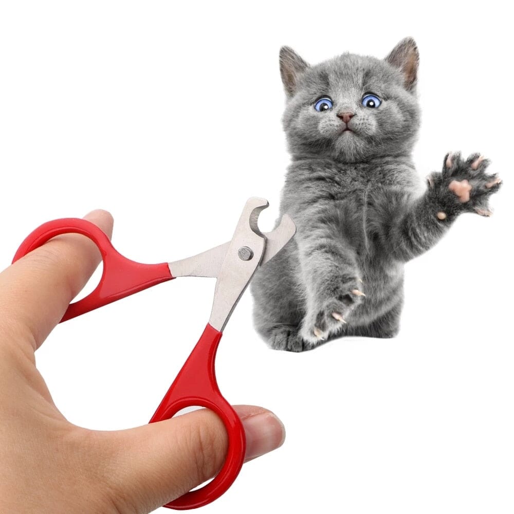 Skanto-Nail Clipper