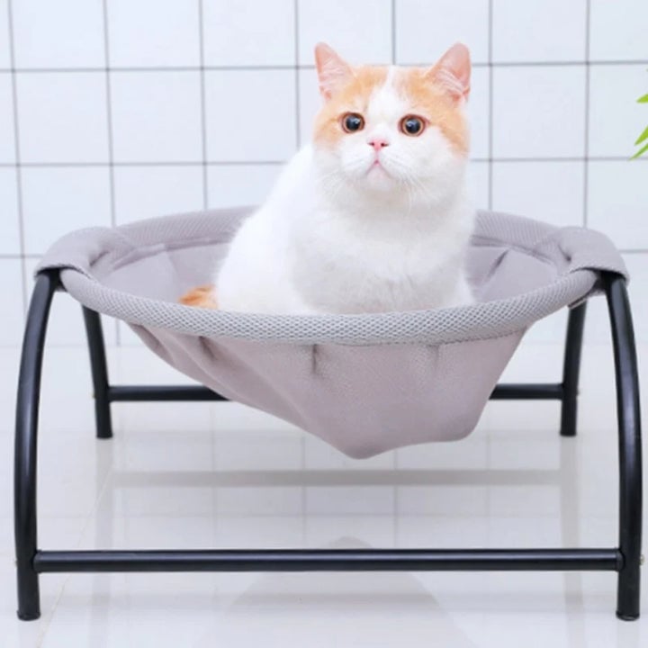 Skanto | Gulv Katt Hamock-Med Stativ