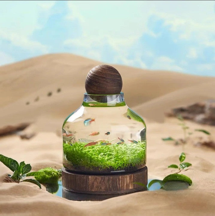 Microakvarium Kompakt Glass Økologisk Fisketank | Skanto