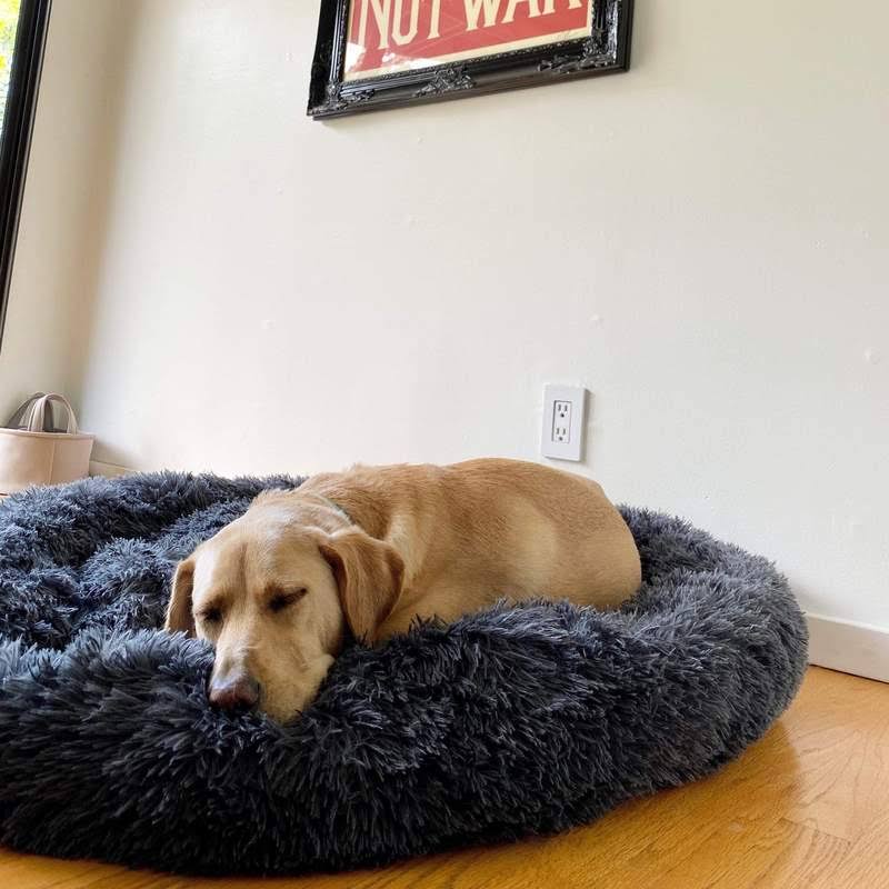 Skanto | Ortopedisk Plysj Donut Hundeseng