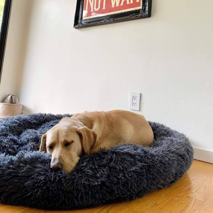 Skanto | Beroligende Hundeseng
