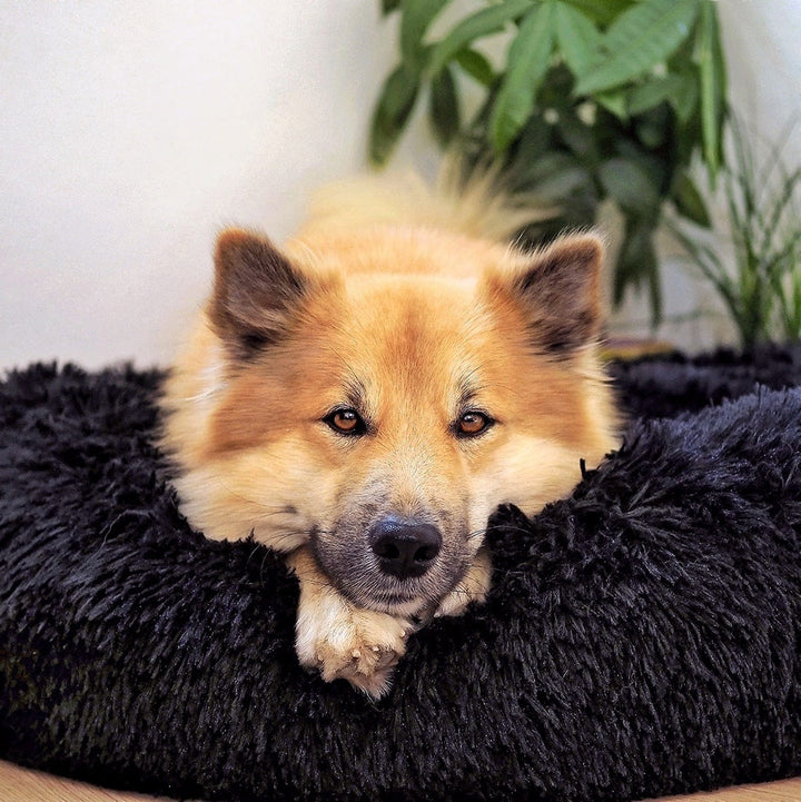 Skanto | FluffyNest Komfort Hundeseng – Ortopedisk Plysj Sovepute for Hunder