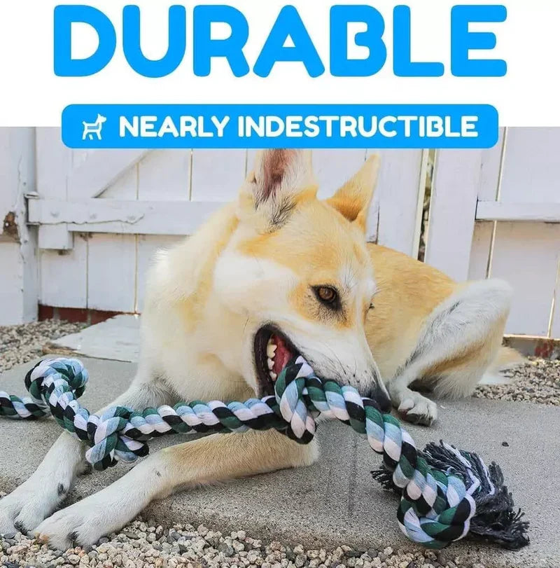 Skanto | Indestructible 6 Knute Hund Taust leke