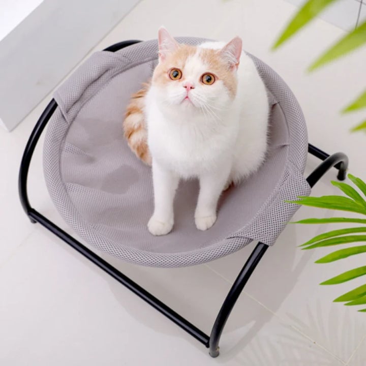 Skanto | Gulv Katt Hamock-Med Stativ