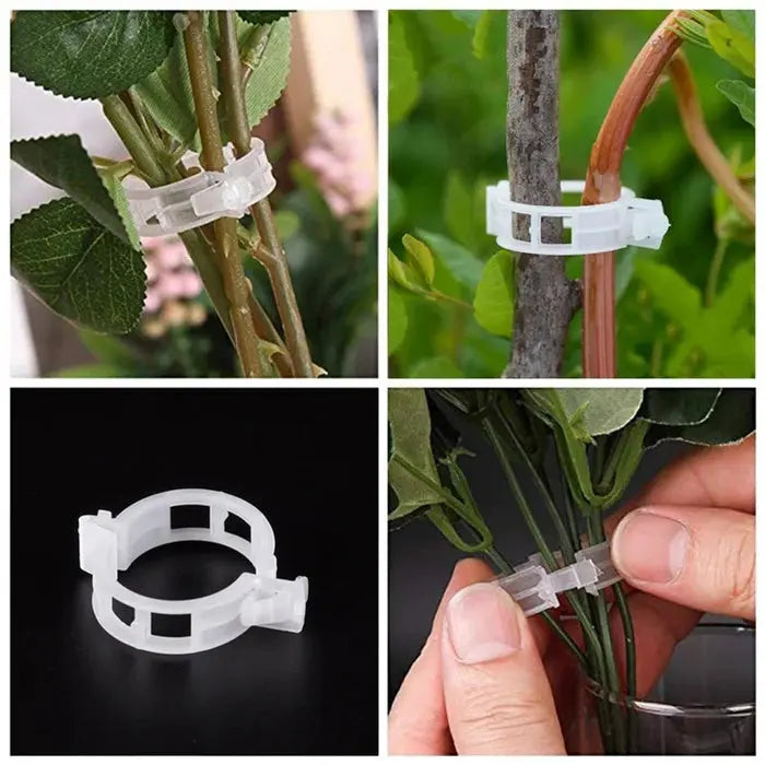 VitaGrip Clips — Sterk hold for majestetiske planter som vokser og trives stolt | Skanto