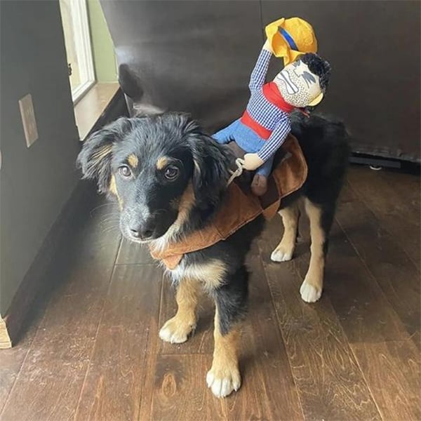 Skanto | Cowboy Rytter Hund Kostyme