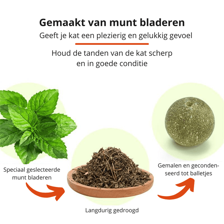 Skanto | PURRFECT KATTNIP LEKETØY – Katt leketøy med mynt & roterende ball for sunne tenner