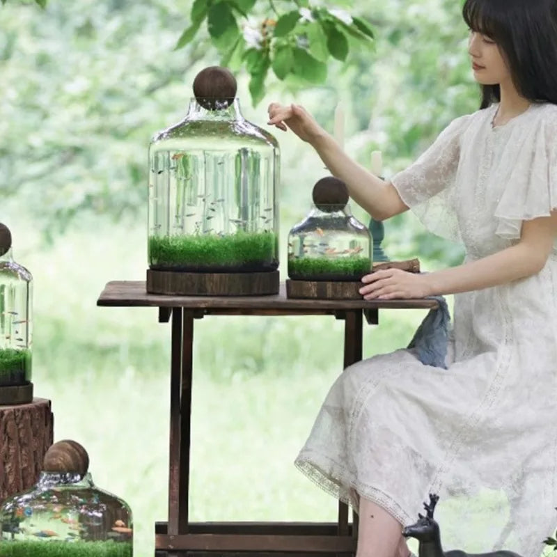 Microakvarium Kompakt Glass Økologisk Fisketank | Skanto