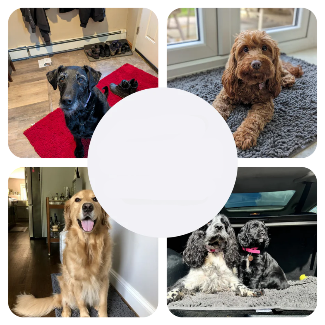 Skanto | Super absorberende hundematte – PawMat