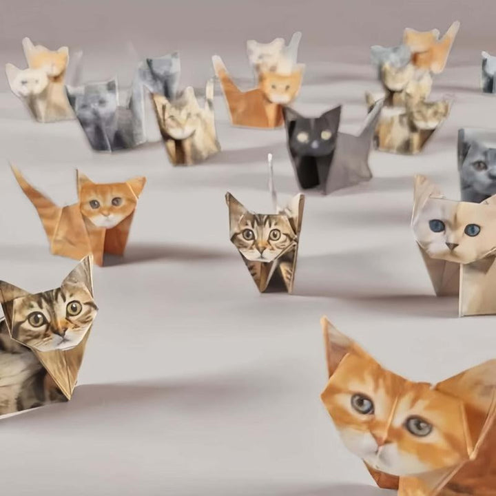 Skanto | 50-ark katt origami sett