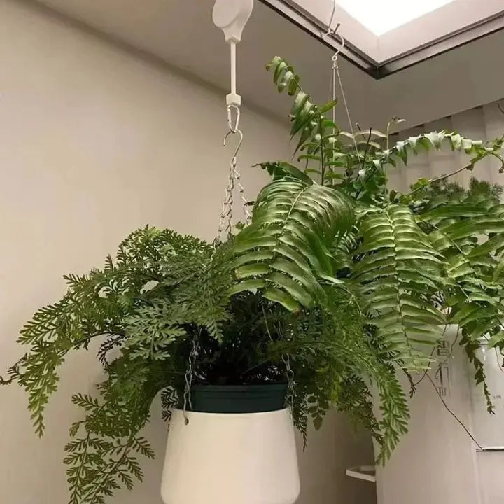 Skanto | FlexiBloom — Få smertefri plantepleie og et stilig hjem uten ryggsmerter! (2 deler)