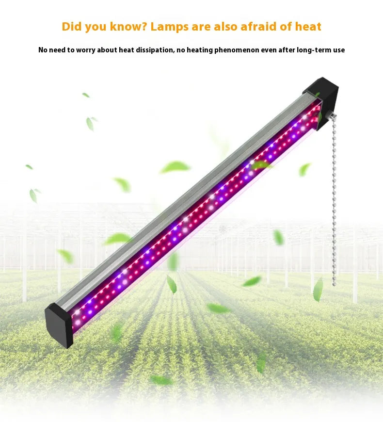 Skanto | LED plante lampe med fullspektrum belysning og trekkbryter for optimal plantevekst