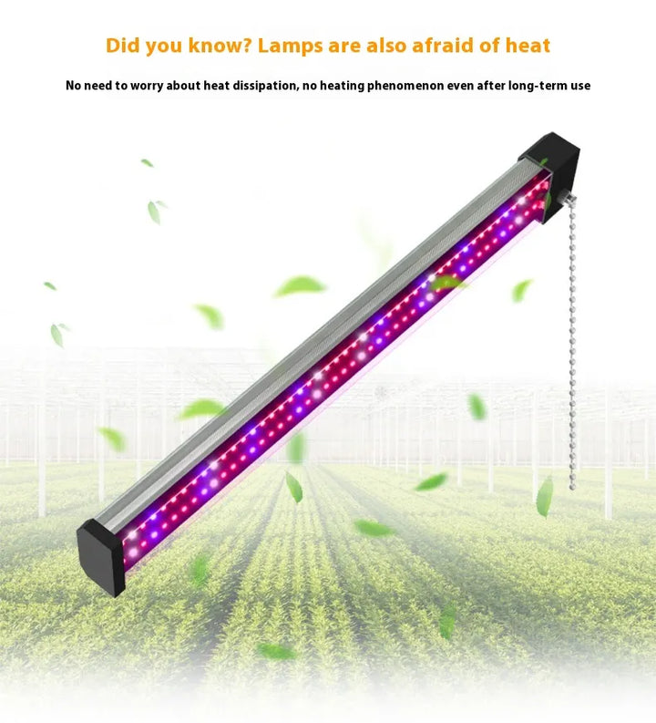 Skanto | LED plante lampe med fullspektrum belysning og trekkbryter for optimal plantevekst