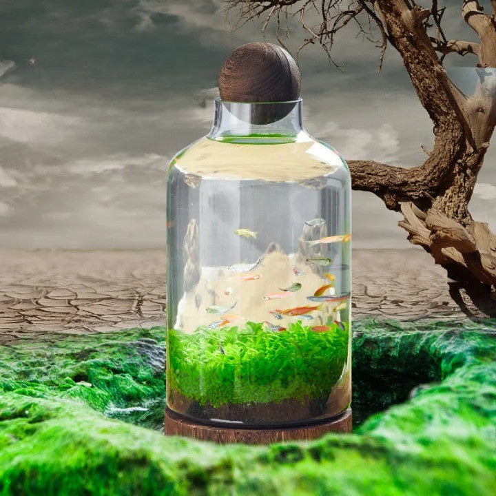 Microakvarium Kompakt Glass Økologisk Fisketank | Skanto