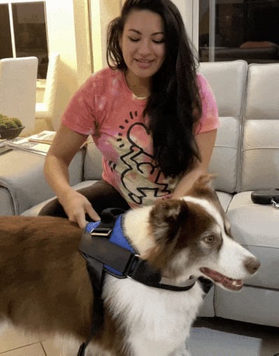 Skanto | Anti Kvelnings Hundesele