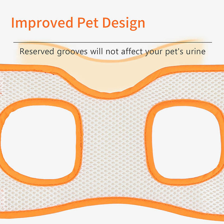 Skanto | Dog Support Lift Harness for ACL Rehab & Arthritis