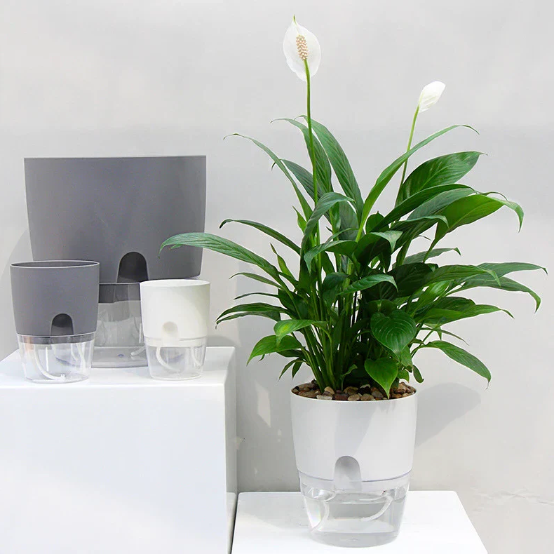 Skanto | Selv vanning planter